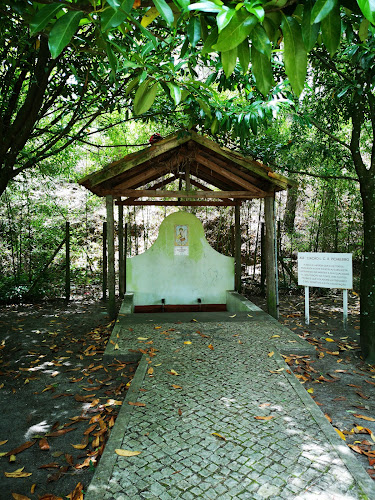 Clube do Picheleiro - ALCRPicheleiro - Leiria