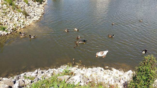 Parque Urbano da Senhora do Pranto, 3830-046 Ílhavo