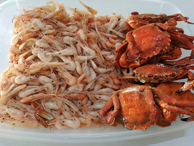 Av. da Misericórdia 6A, Vendas Novas