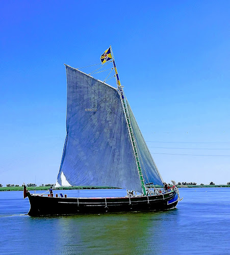 R. Alm. Cândido dos Reis 21, 2600-422 Vila Franca de Xira