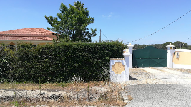 Opinii despre António Cardoso Rodrigues Dias în Palmela - Gastronomia e hotelaria