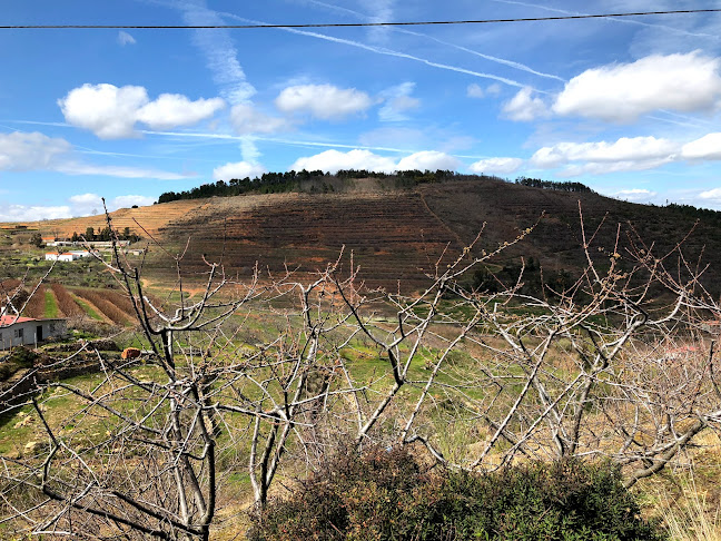 Café Cine - Fundão - Gastronomia e hotelaria