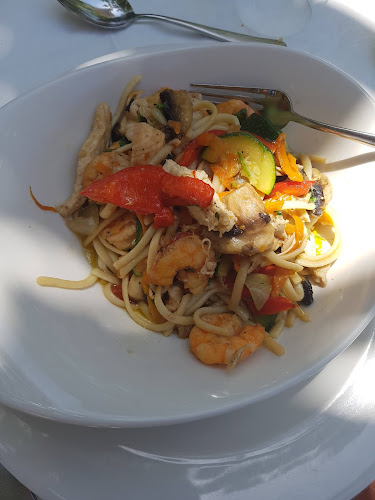 Comentarii opinii despre O Dragoeiro