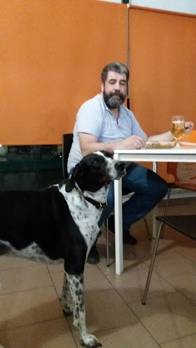 Opinii despre Café Moleiro în Coimbra - Gastronomia e hotelaria