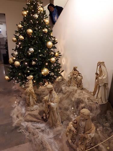 Auditório Café - Vila do Conde