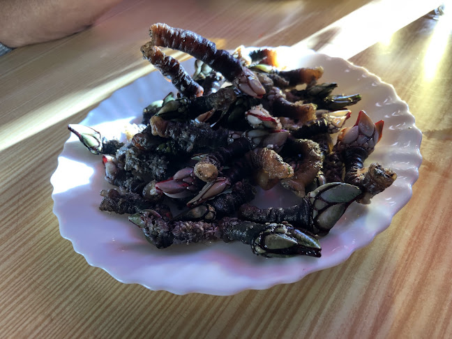 Cervejaria Galé - Gastronomia e hotelaria