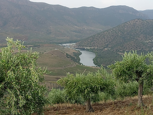 Praça da República, 2800-253 Almada