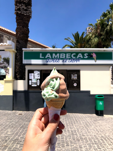 Lambecas Do Porto Santo - Funchal