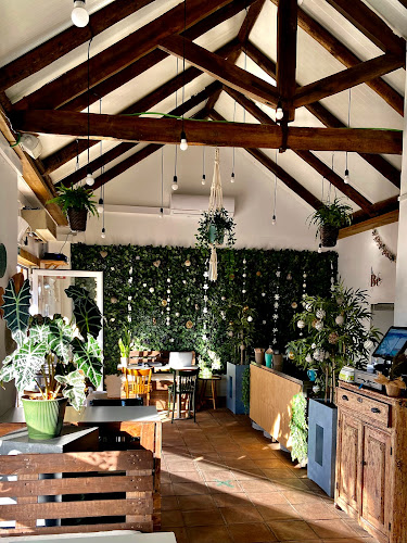 Comentarii opinii despre Be Comporta