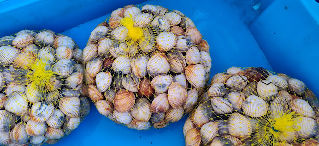 Restaurante O Bárbaro - Bensafrim