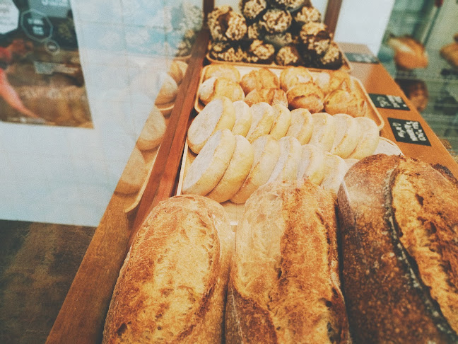 Comentarii opinii despre BOROA