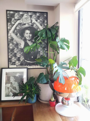 Comments and reviews of Negra Café Boavista