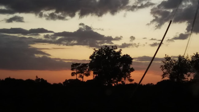 Restaurante O Amável - Gastronomia e hotelaria