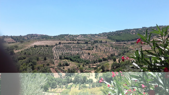 Restaurante "O Nacional" - Gastronomia e hotelaria