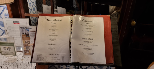 Comentarii opinii despre Barrete Saloio