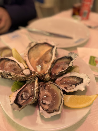 Comentarii opinii despre Baía do Peixe - Praça do Comércio