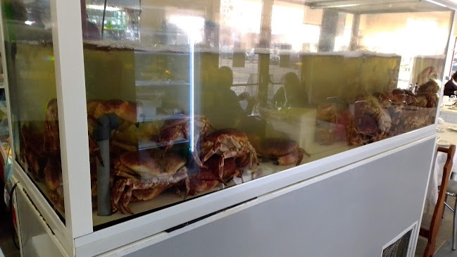 Av. António Sardinha, 7350-091 Elvas