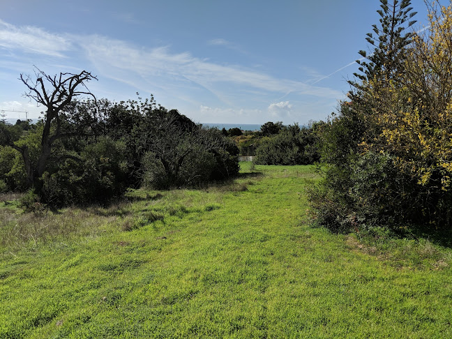 Comentarii opinii despre Restaurante Warehouse