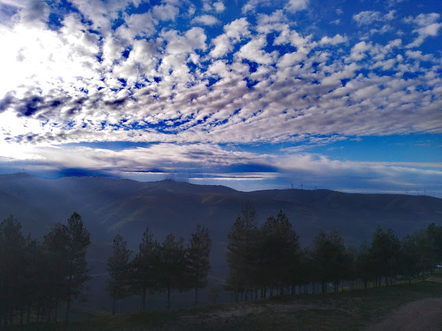 Café Campo da Feira - Gastronomia e hotelaria