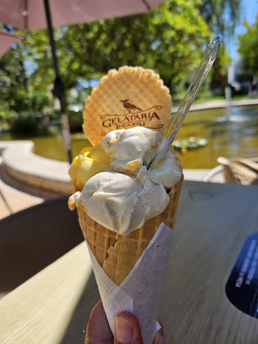 Opinii despre Gelataria Pica-pau în Grândola - Gastronomia e hotelaria