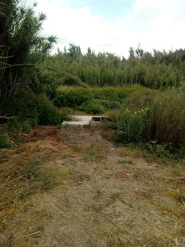 Opinii despre Sarah's Coffee în Caldas da Rainha - Gastronomia e hotelaria