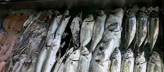 Comentarii opinii despre Tro-la-ró Tributorequinte