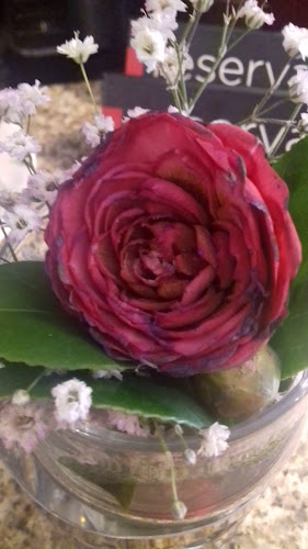 Restaurante Dona Porto - Porto