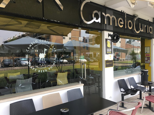 Camelo Curia Cafe - Gastronomia e hotelaria