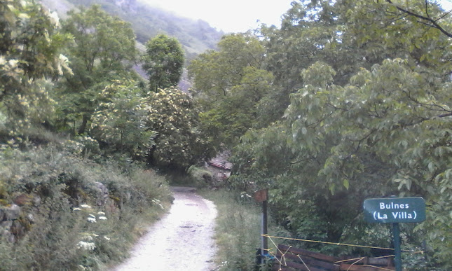 Buscafé - Actividades Hoteleiras Lda - Gastronomia e hotelaria