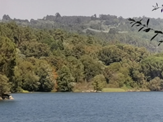 Comentarii opinii despre Casa do Rio