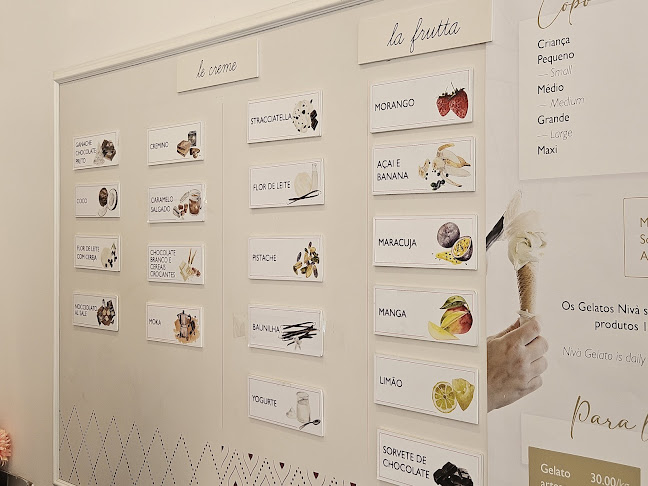 Comentarii opinii despre GROM