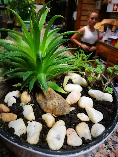 . Tradição - Gastronomia e hotelaria