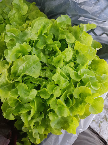 Mercado Biológico Agrobio - Parque das Nações Phone number