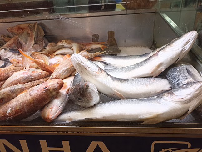 Av. José Mourinho 58, 2900-633 Setúbal