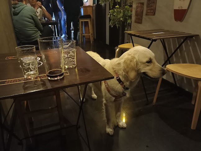 HopTrip Craft Beer Shop - Gastronomia e hotelaria