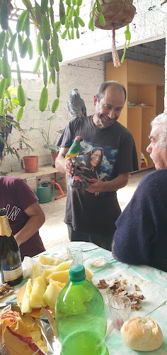 R. Academia 2, 3140-022 Arazede