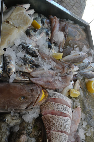 Tasca Kefish Open Times