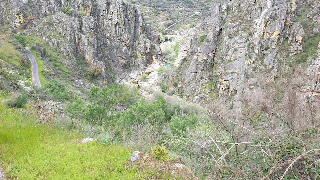 R. do Bernardino 20, 5100-781 Lamego