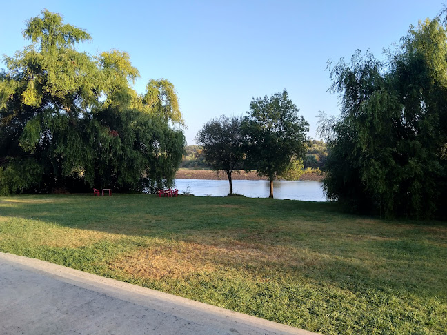 Comentarii opinii despre Bar Tejo