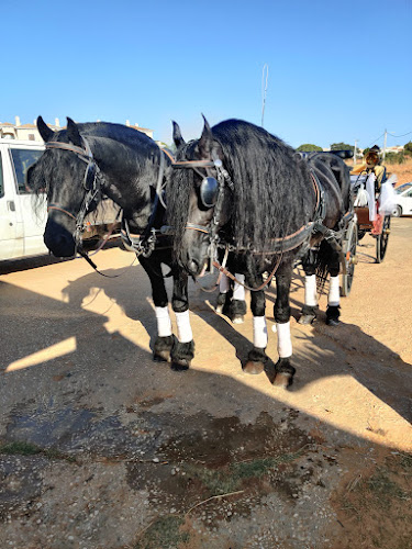 Opinii despre Mini-Mercado Café Tinoco în Albufeira - Gastronomia e hotelaria