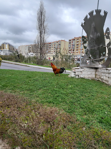 Opinii despre Café Estrela do Tejo în Póvoa de Santa Iria - Gastronomia e hotelaria