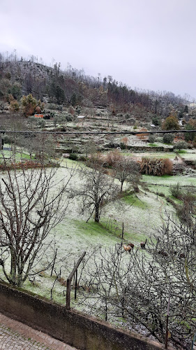 Opinii despre Café Central - Mario Martins Gouveia în Seia - Gastronomia e hotelaria