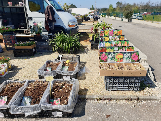 Feira da Palhaça