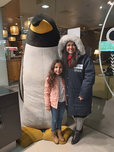 Bar de Gelo Viseu - Viseu