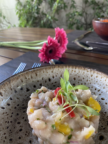 Comentarii opinii despre Essência