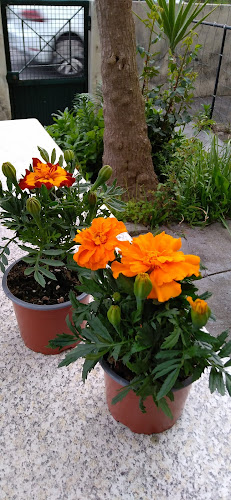 Estr. da Circunvalação 2365, 4435-185 Porto