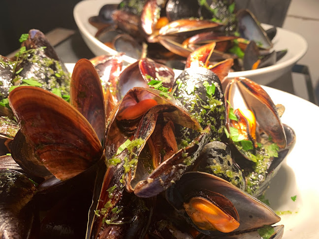 Comentarii opinii despre Aqui Há Gato