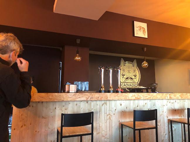 CÃO VADIO - Gastronomia e hotelaria