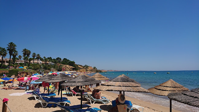 Comentarii opinii despre Snack Bar Pirata.