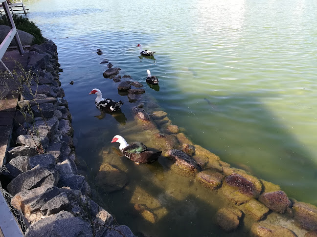 Comentarii opinii despre Cais na Planície - Associação Pagaia Sul